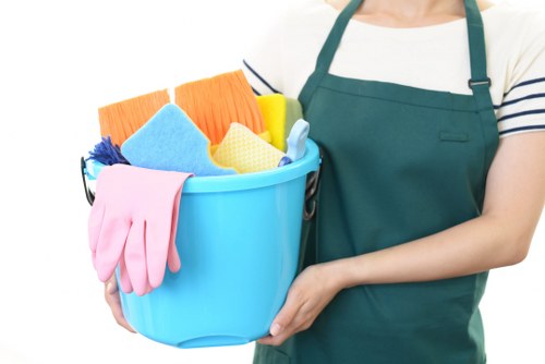Professional cleaners in Barnet working in a modern home interior