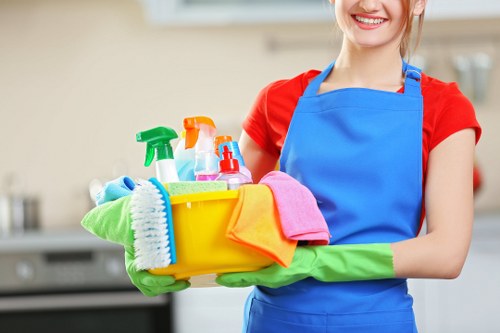 Professional sofa cleaning in Barnet for a fresh living room