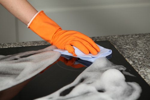Local pet stain odour removal service for a Barnet home carpet