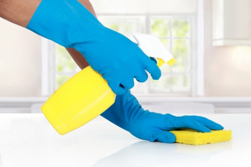 Treating a cat urine stain on upholstery in Barnet