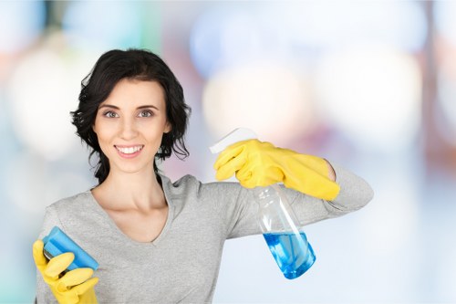 Deep cleaning tasks in a Barnet kitchen and living space