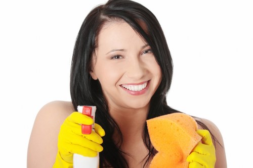 Deep cleaning in Barnet for a fresh and healthy home