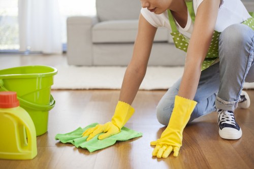 Professional cleaning equipment used for pet odour removal in Barnet