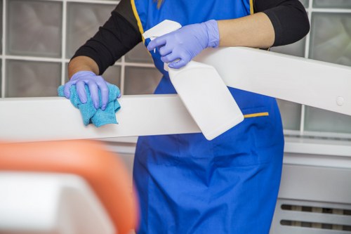 Upholstery deep cleaning service for a living room chair